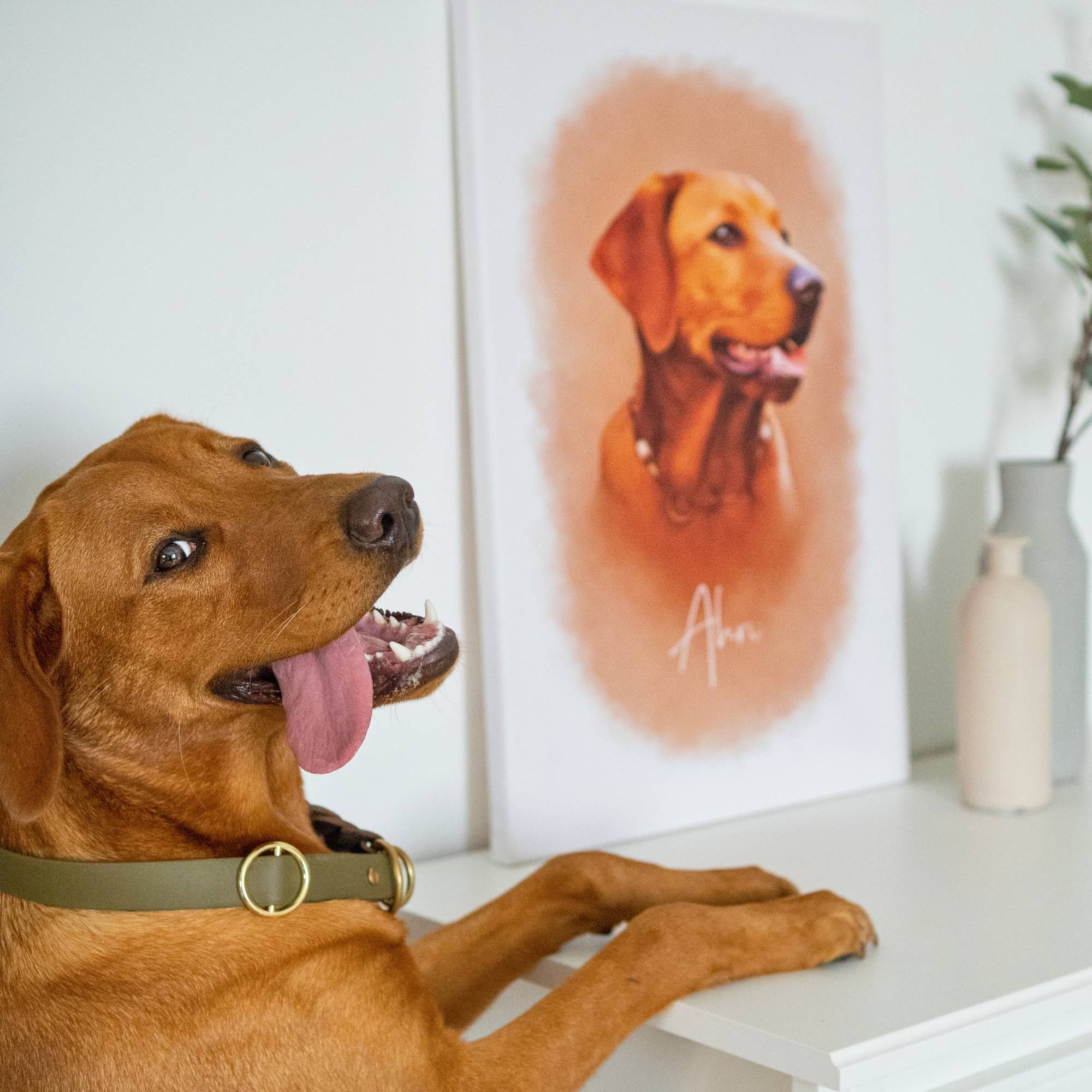 Öl Portrait
